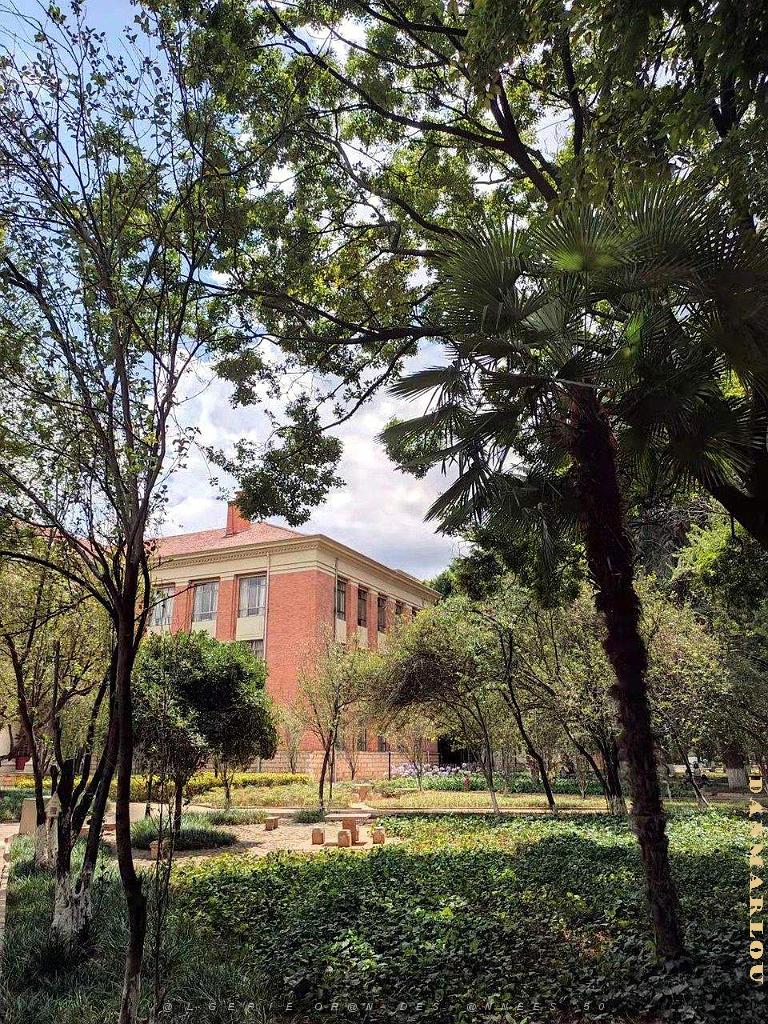 Kunming - Universite du Yunnan (49).jpg